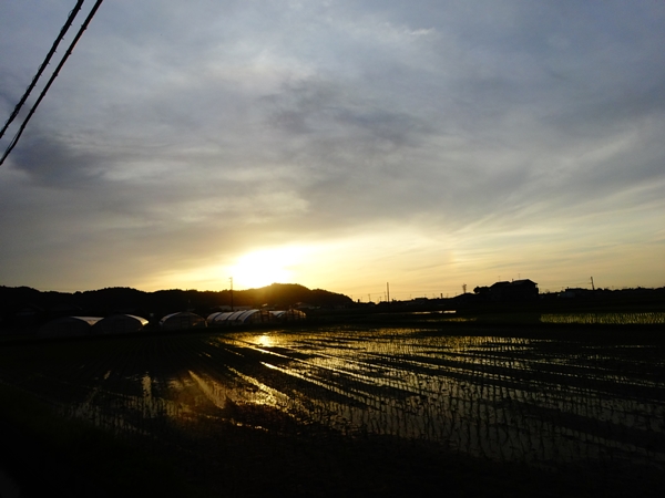 f:id:maronmame:20170524082258j:plain