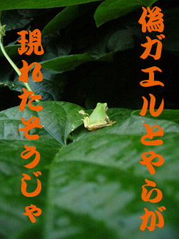 f:id:maronmame:20170601085232j:plain