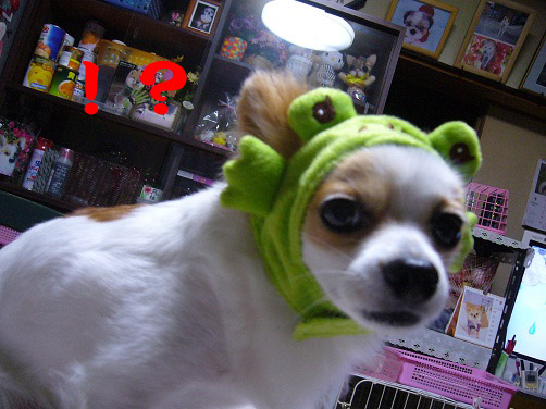 f:id:maronmame:20170601085315j:plain