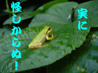 f:id:maronmame:20170601085338j:plain