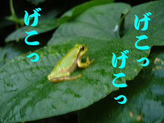 f:id:maronmame:20170601085359j:plain