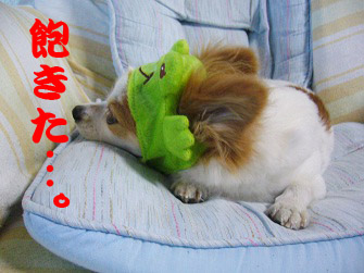 f:id:maronmame:20170601085801j:plain