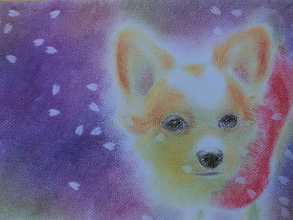 f:id:maronmame:20190306120745j:plain