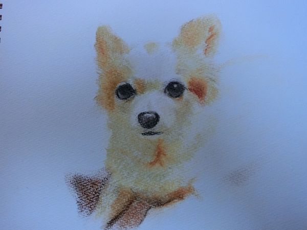 f:id:maronmame:20190306121254j:plain