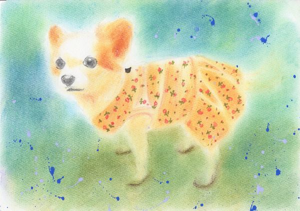 f:id:maronmame:20190308182051j:plain