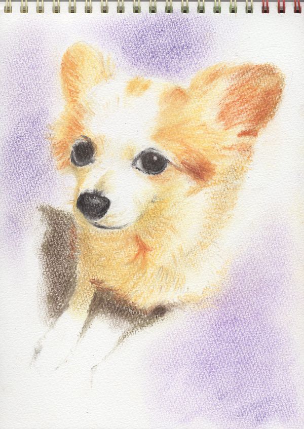 f:id:maronmame:20190308182352j:plain