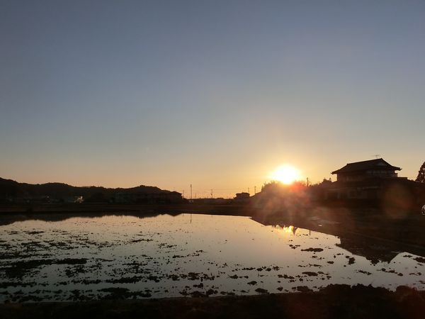 f:id:maronmame:20190308182654j:plain