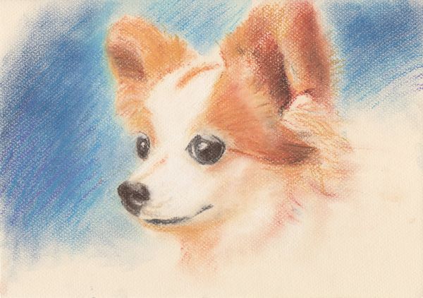 f:id:maronmame:20190313091116j:plain