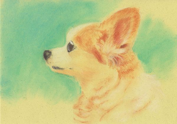 f:id:maronmame:20190313091205j:plain