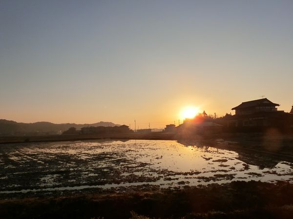 f:id:maronmame:20190313091359j:plain