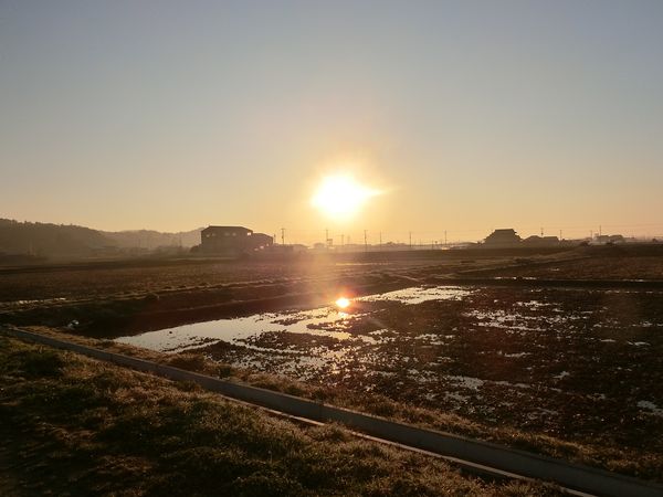 f:id:maronmame:20190313091516j:plain