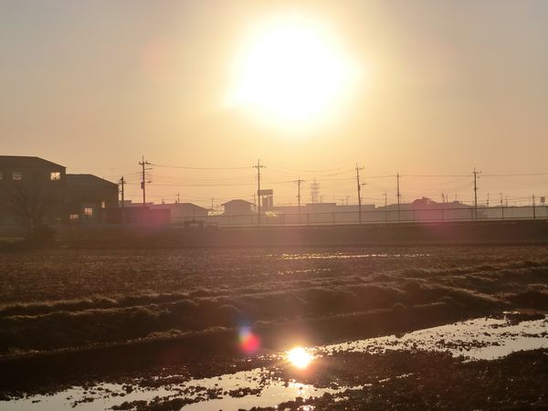 f:id:maronmame:20190313091533j:plain