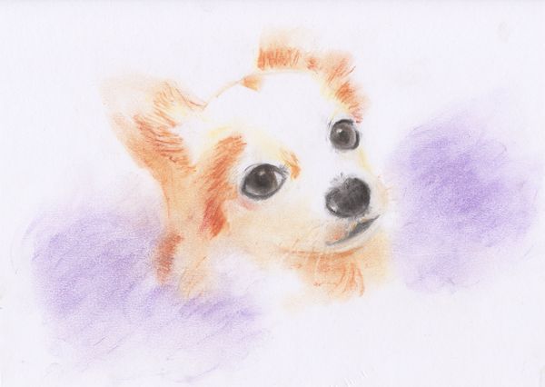 f:id:maronmame:20190315180121j:plain