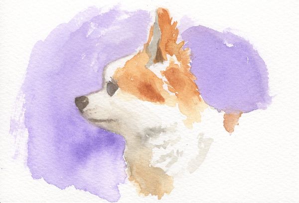 f:id:maronmame:20190315180149j:plain