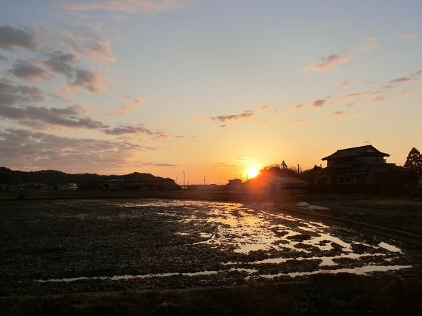 f:id:maronmame:20190315182427j:plain