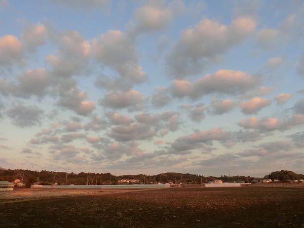 f:id:maronmame:20190315182535j:plain