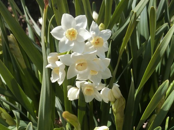 f:id:maronmame:20190315182657j:plain