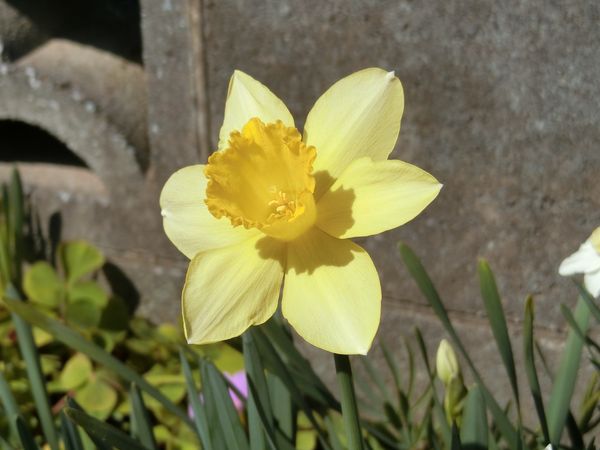 f:id:maronmame:20190315182714j:plain