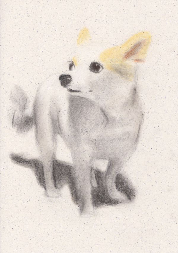 f:id:maronmame:20190317173620j:plain