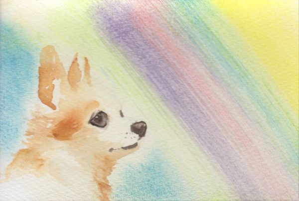 f:id:maronmame:20190317173937j:plain