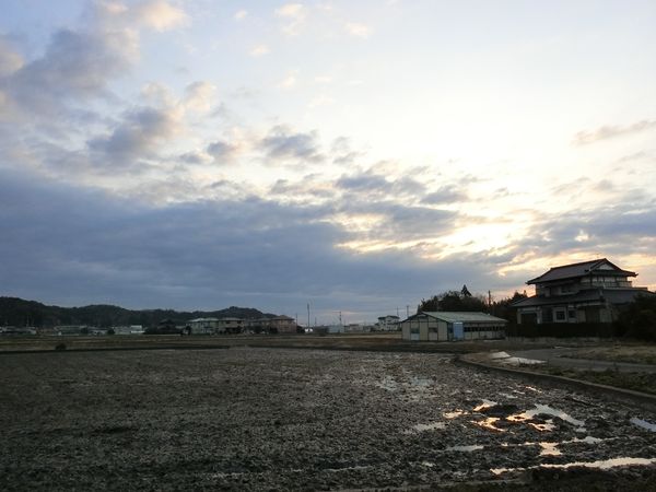 f:id:maronmame:20190317174159j:plain