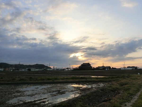 f:id:maronmame:20190317174327j:plain