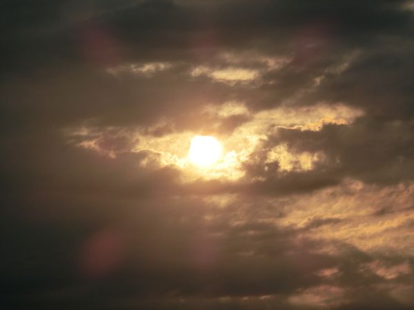 f:id:maronmame:20190317174405j:plain