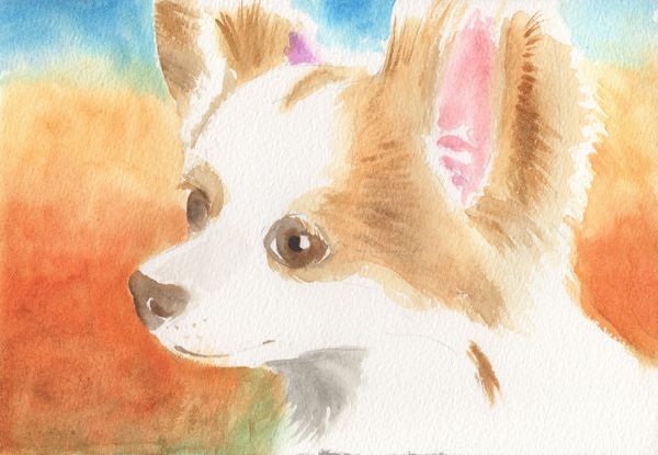 f:id:maronmame:20190323123135j:plain