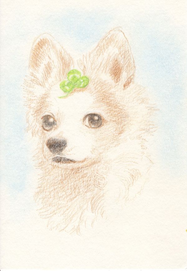 f:id:maronmame:20190323123217j:plain