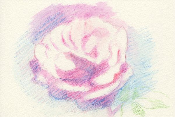 f:id:maronmame:20190323123502j:plain