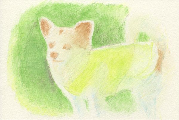 f:id:maronmame:20190323123624j:plain