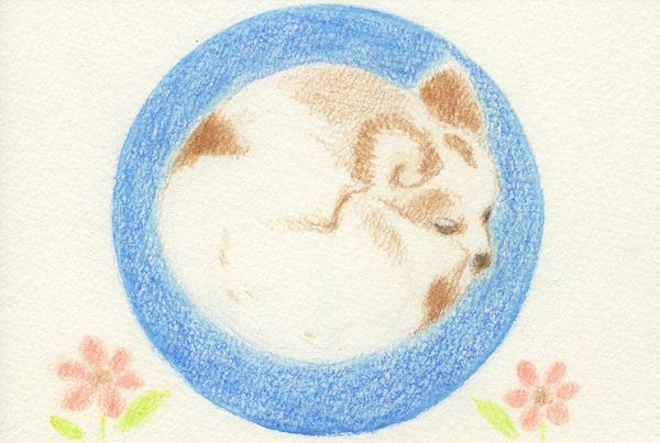 f:id:maronmame:20190323123701j:plain