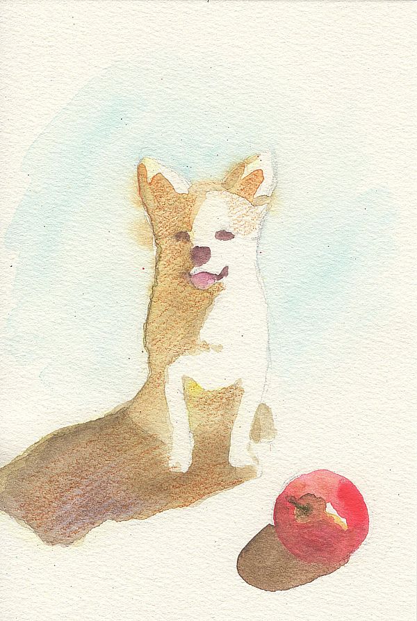 f:id:maronmame:20190410094123j:plain