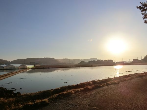 f:id:maronmame:20190410094750j:plain