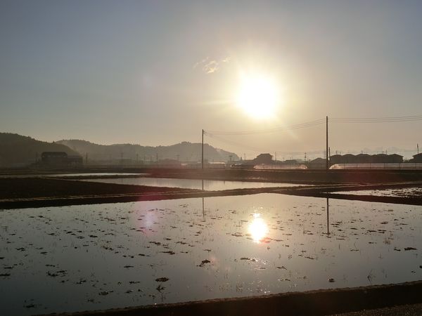 f:id:maronmame:20190410094837j:plain