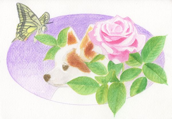 f:id:maronmame:20190415070043j:plain f:id:maronmame:20190415070043j:plain