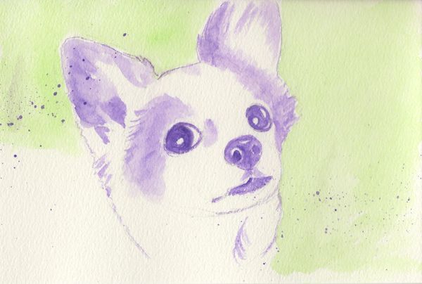 f:id:maronmame:20190415070343j:plain f:id:maronmame:20190415070343j:plain