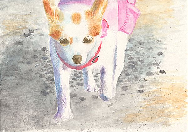 f:id:maronmame:20190415070423j:plain f:id:maronmame:20190415070423j:plain