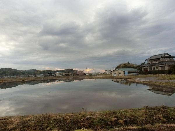 f:id:maronmame:20190415070751j:plain f:id:maronmame:20190415070751j:plain