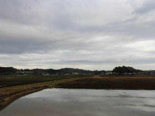 f:id:maronmame:20190415070907j:plain f:id:maronmame:20190415070907j:plain