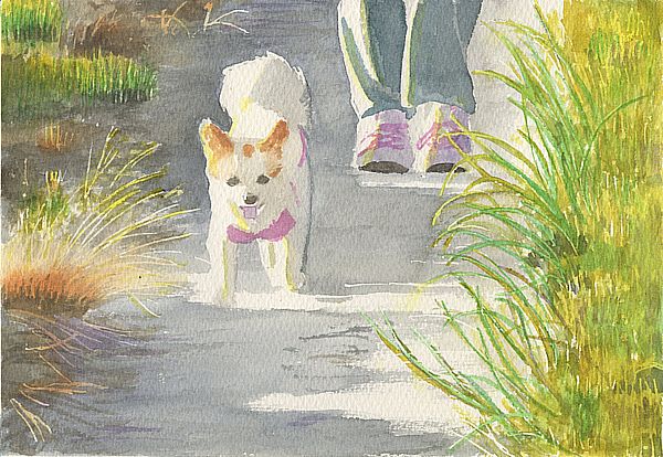 f:id:maronmame:20190420160405j:plain