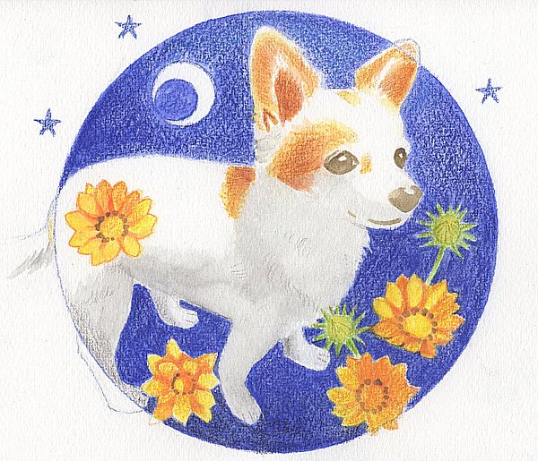 f:id:maronmame:20190420160538j:plain