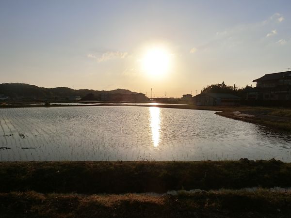 f:id:maronmame:20190420160814j:plain