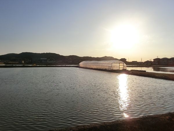 f:id:maronmame:20190420160916j:plain