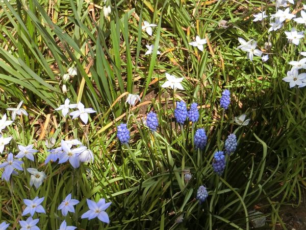 f:id:maronmame:20190420161039j:plain