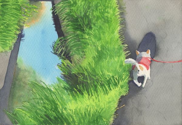 f:id:maronmame:20190424174942j:plain