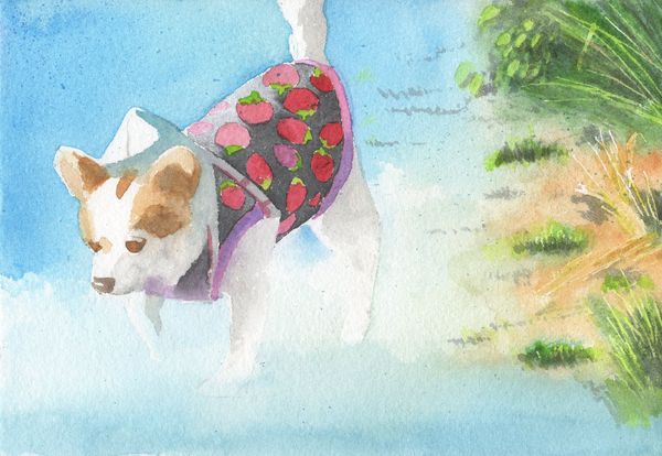 f:id:maronmame:20190424175352j:plain