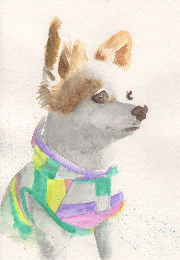 f:id:maronmame:20190424175527j:plain