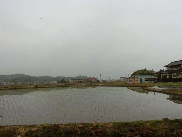 f:id:maronmame:20190424175853j:plain