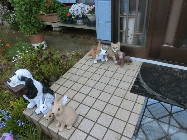 f:id:maronmame:20190424180128j:plain